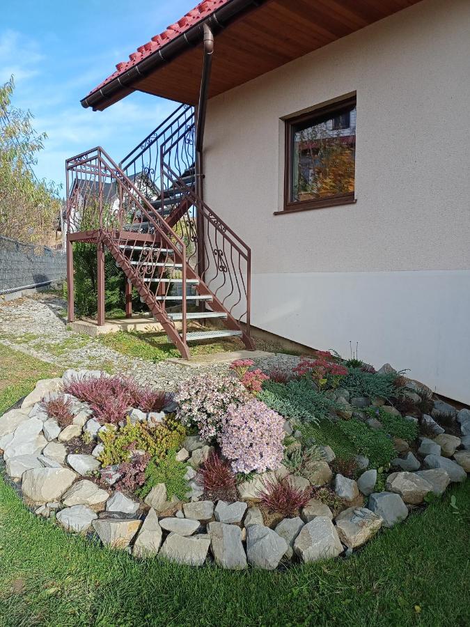 Hortensjowy Zakatek W Pieninach سروموس وايزين المظهر الخارجي الصورة
